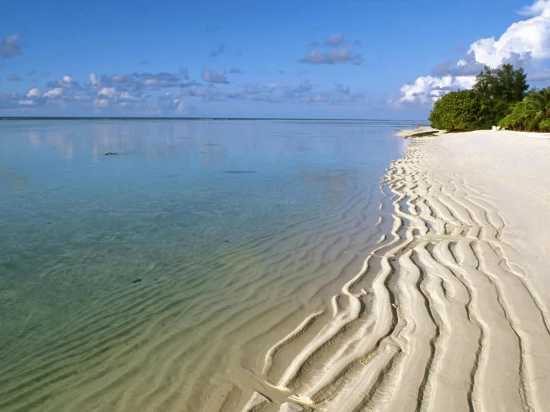 nature, sea, beach, sand