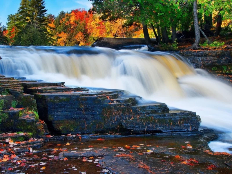 nature, forest, river, waterfall