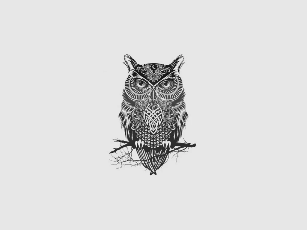 minimal, munimal