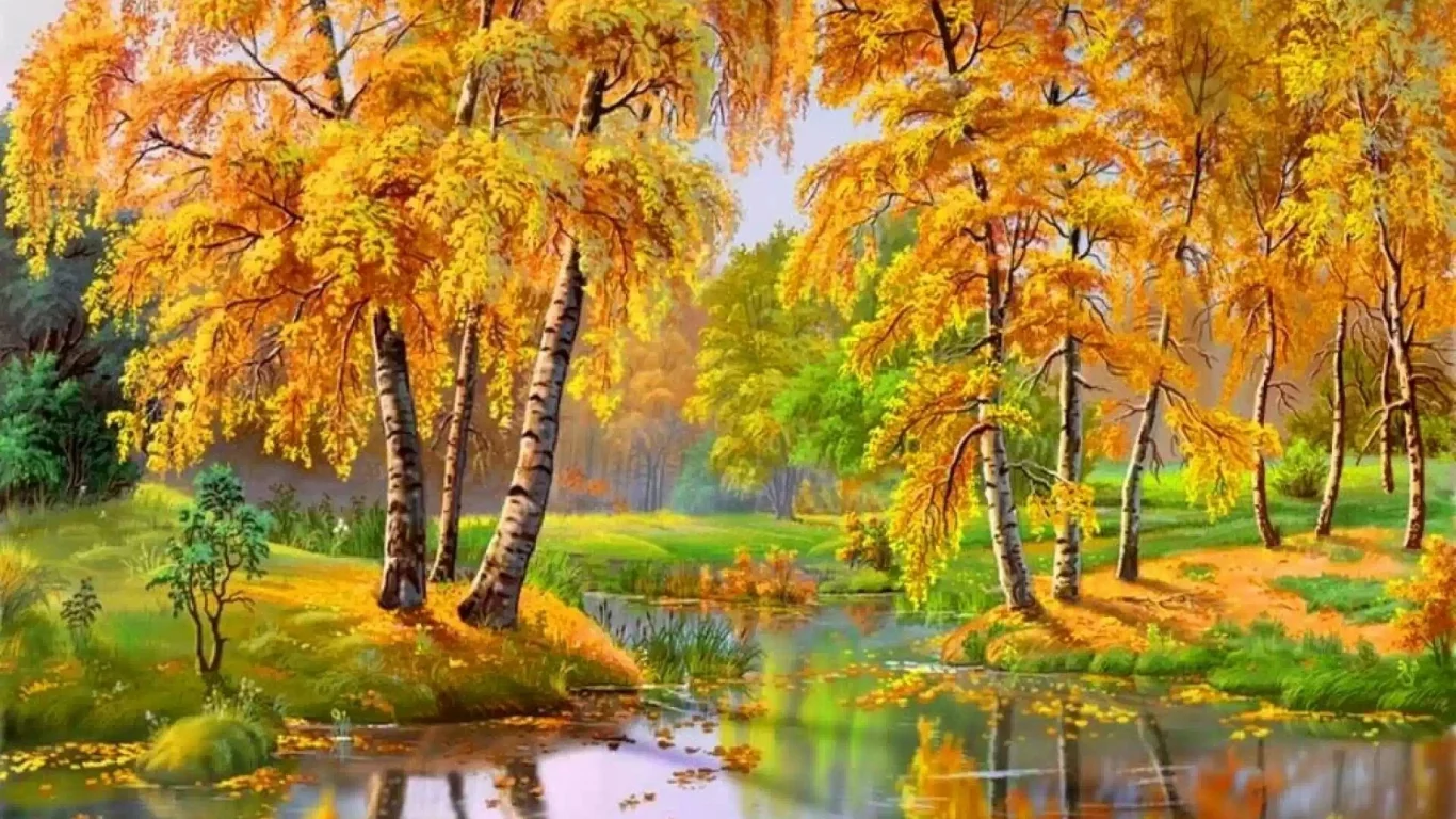 nature, nature