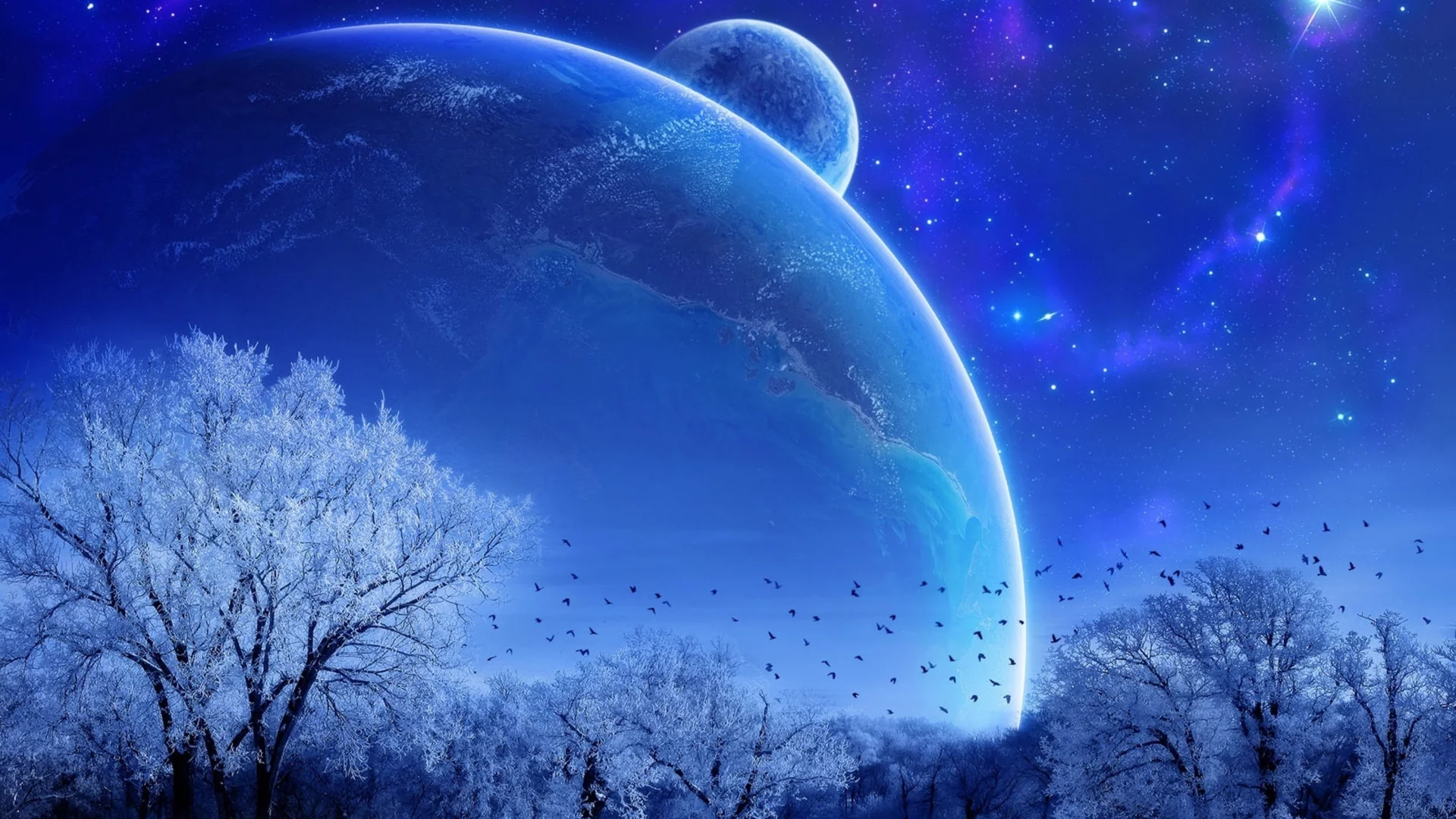 nature, nature
