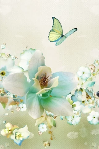 nature, nature