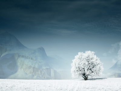 пейзаж, дерево, снег, зима