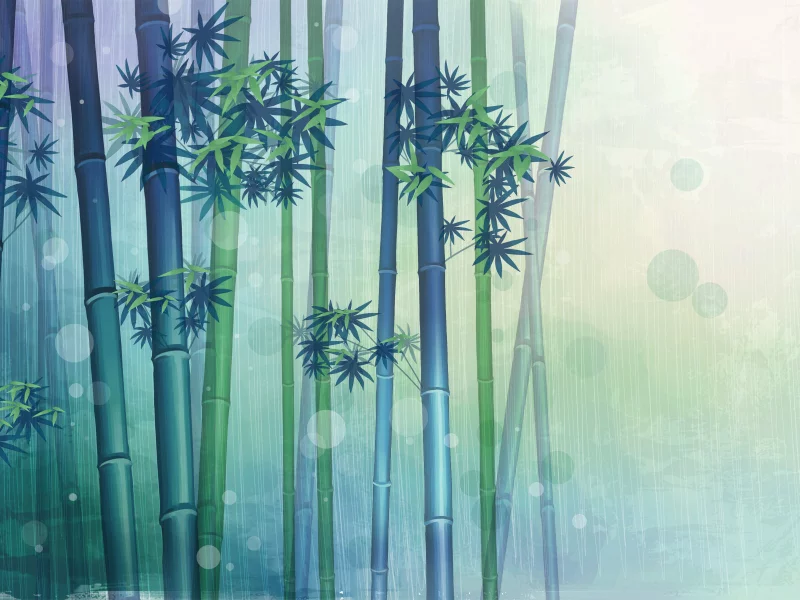 nature, nature