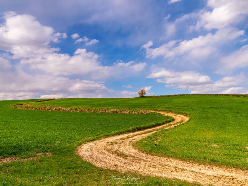 landscape, nature, field, road, sky, summer