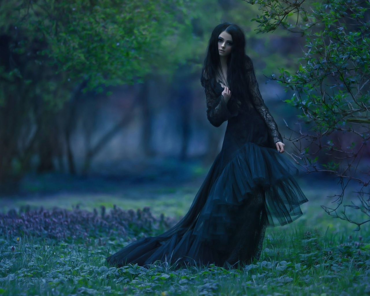 girl, sweet, beautiful, sexy, brunette, longhaired, dress, gothic