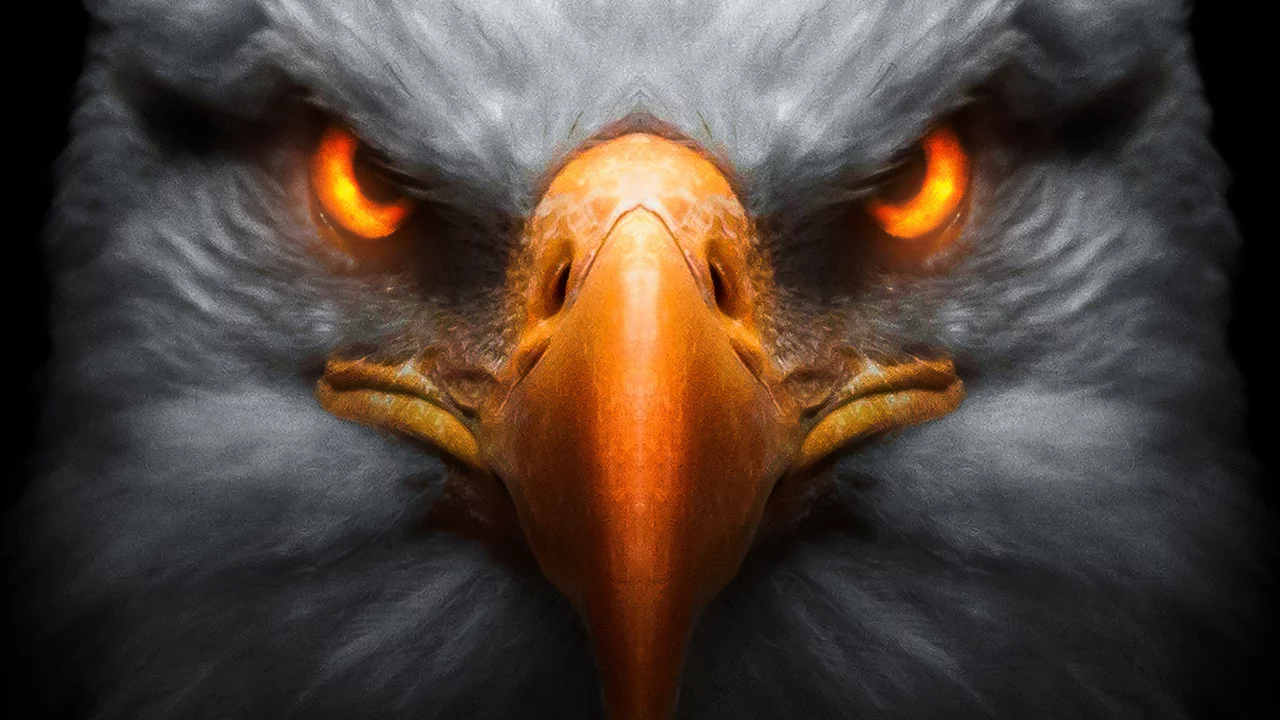 eagle, red, glowing, eyes