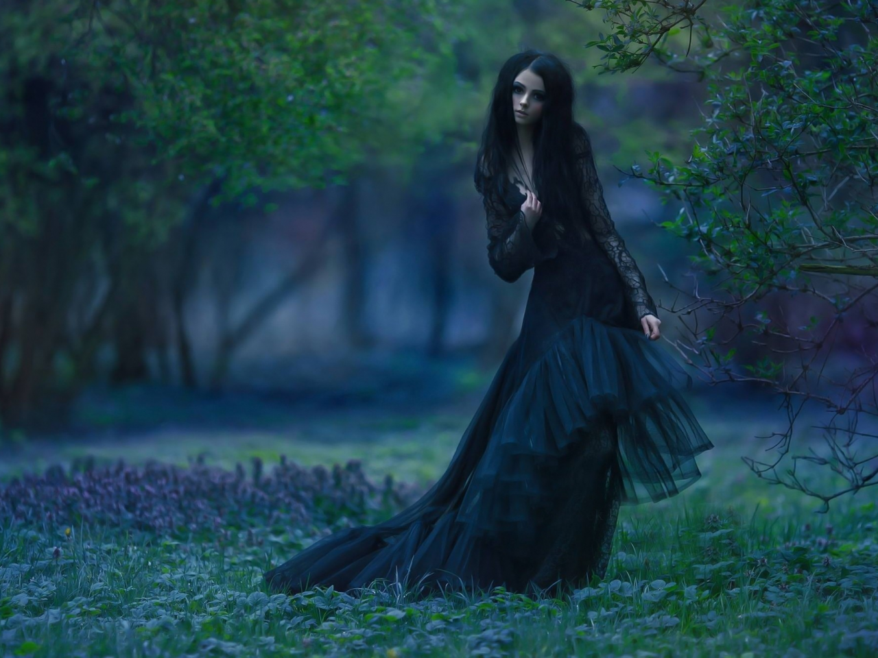 girl, sweet, beautiful, sexy, brunette, longhaired, dress, gothic
