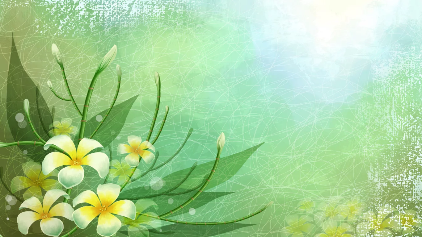 nature, nature