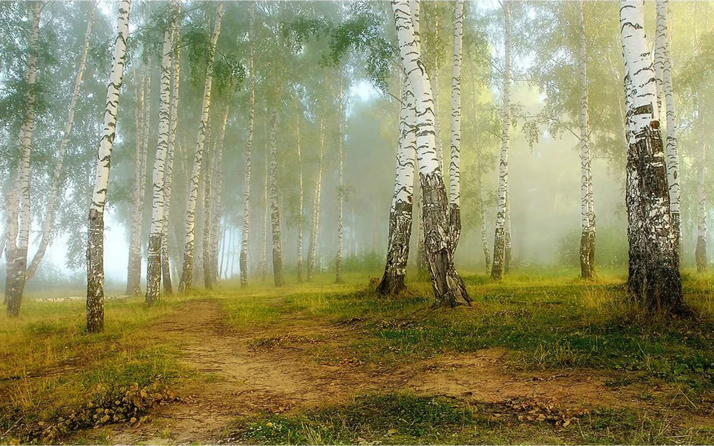 nature, nature