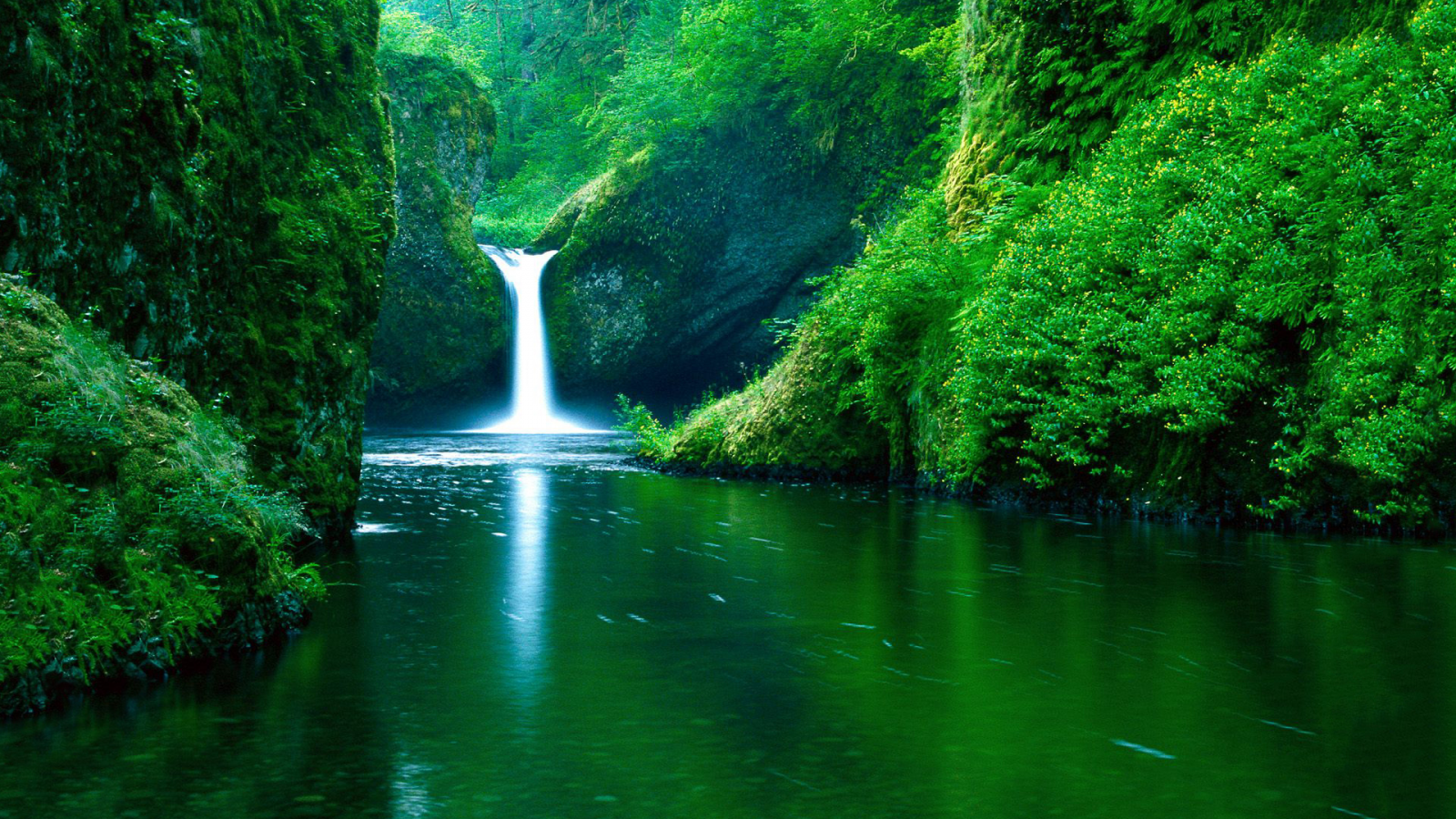 nature, forest, river, waterfall