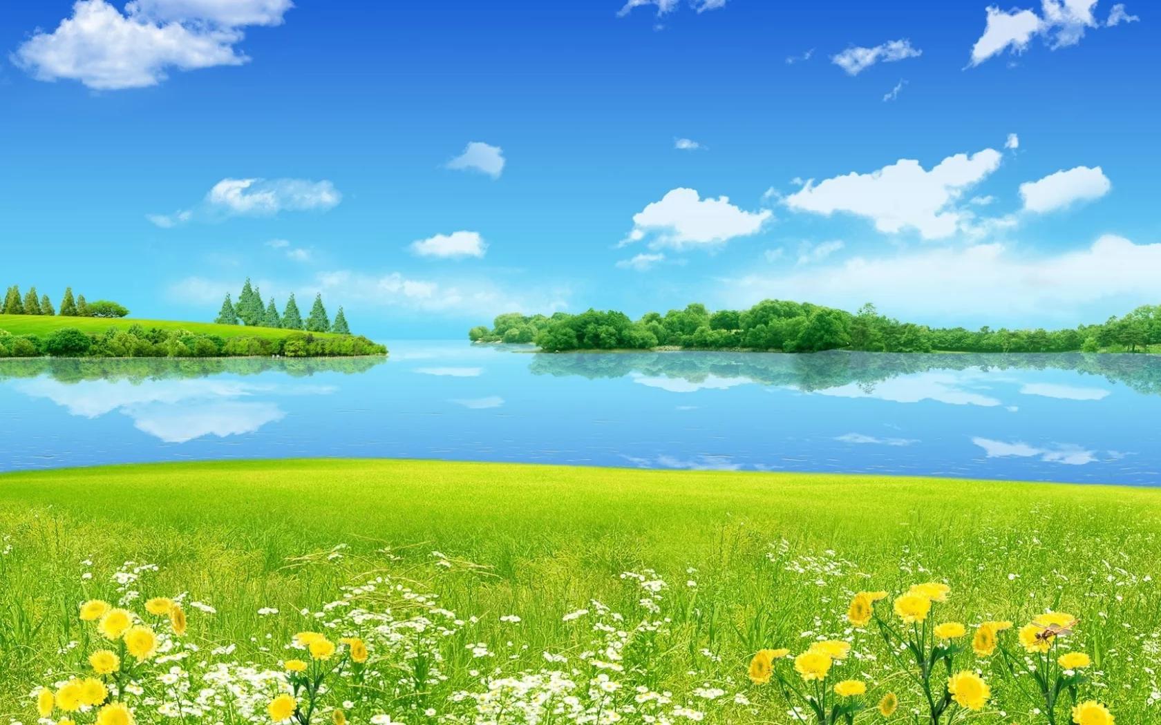 nature, nature
