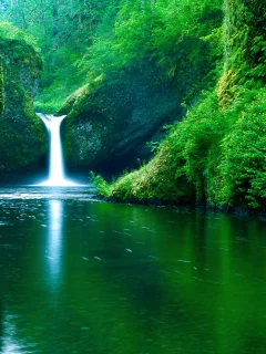 nature, forest, river, waterfall