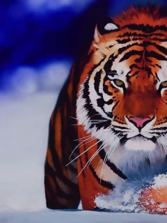 nature, nature