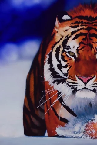 nature, nature