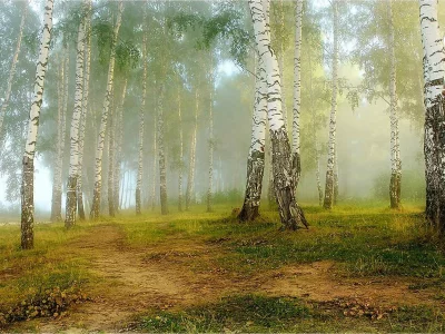 nature, nature