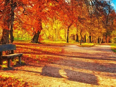 nature, nature