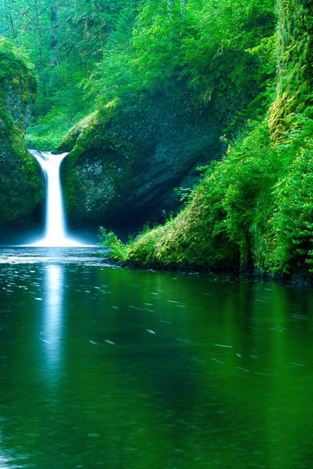nature, forest, river, waterfall