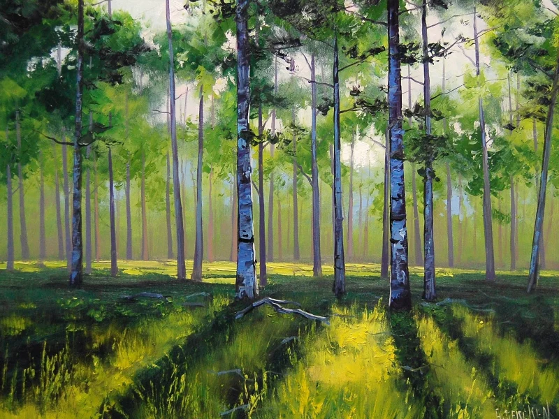 nature, nature