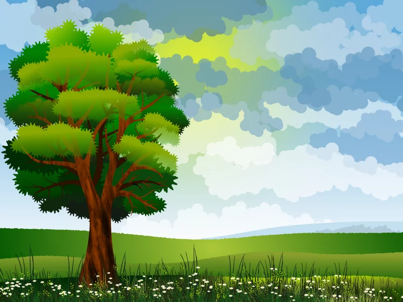 nature, nature
