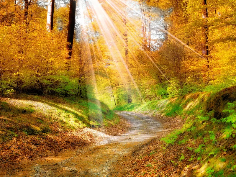 nature, nature