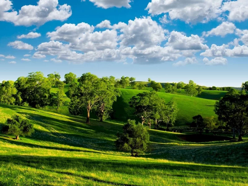nature, nature