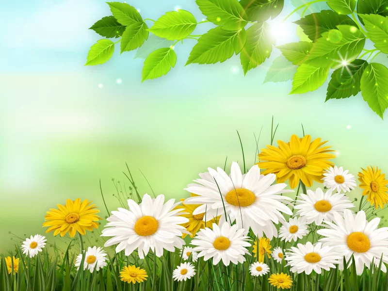 nature, nature