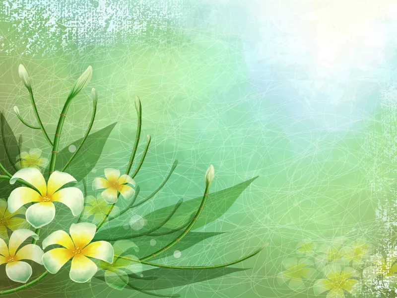 nature, nature