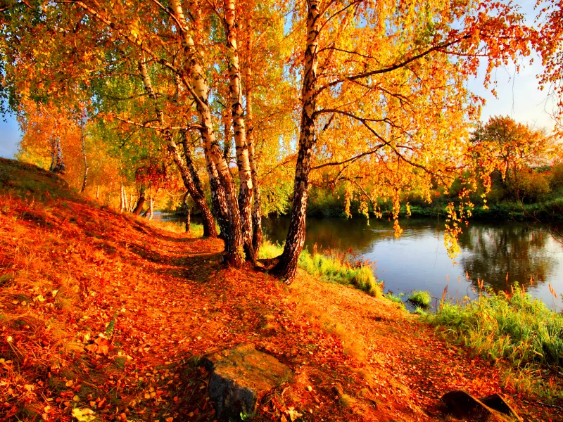 nature, nature