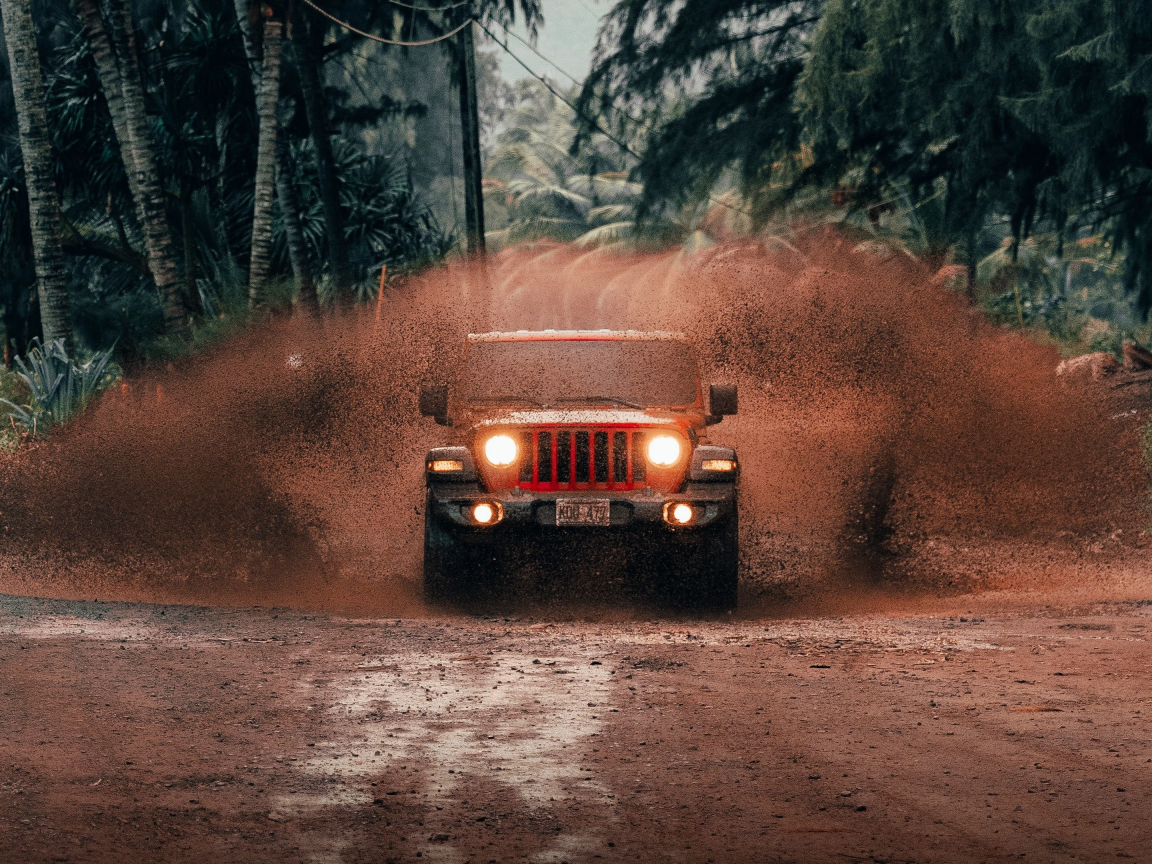 auto, jeep wrangler