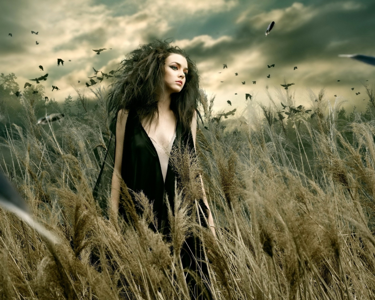 girl, beautiful, black dress, nature