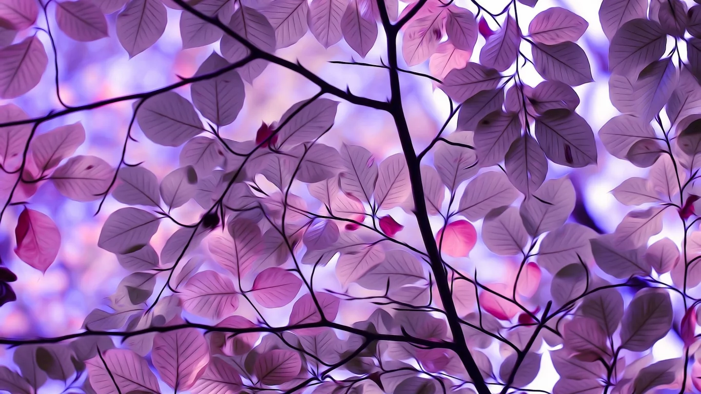 nature, nature