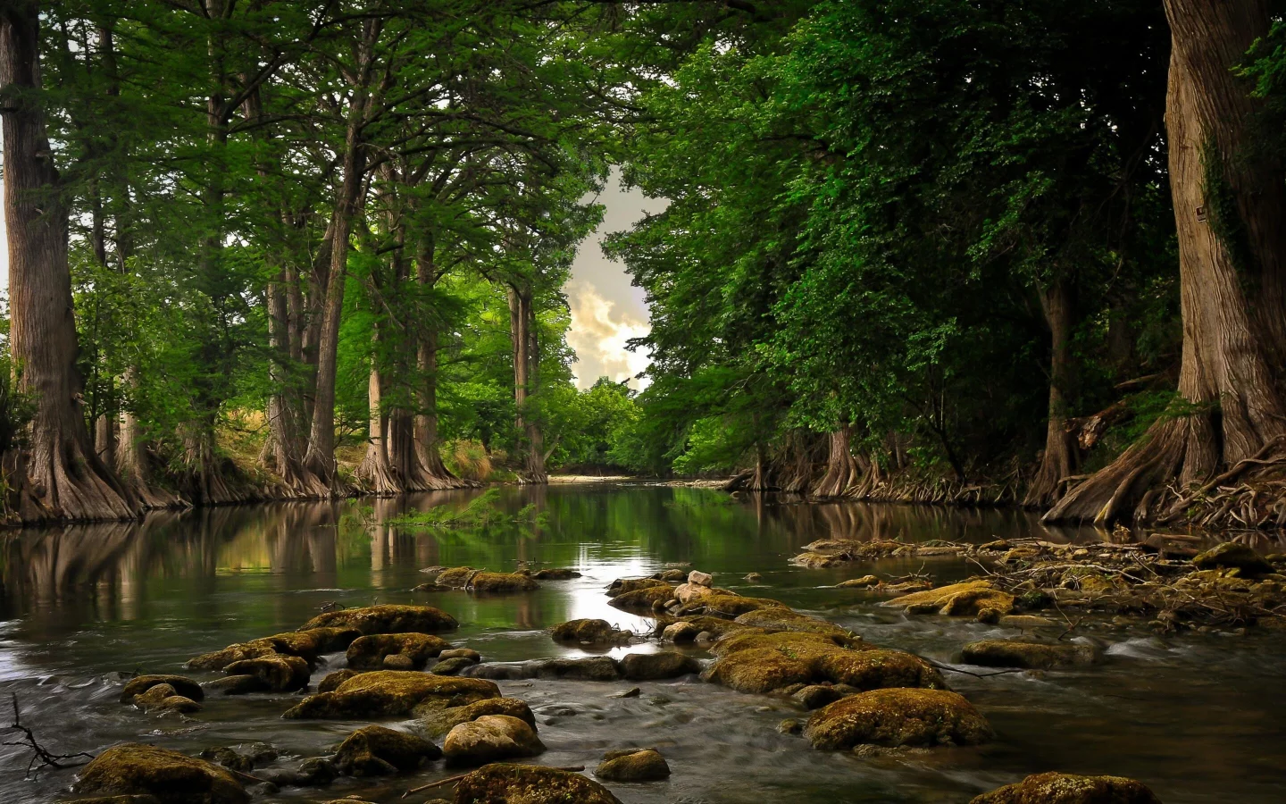 nature, serenity