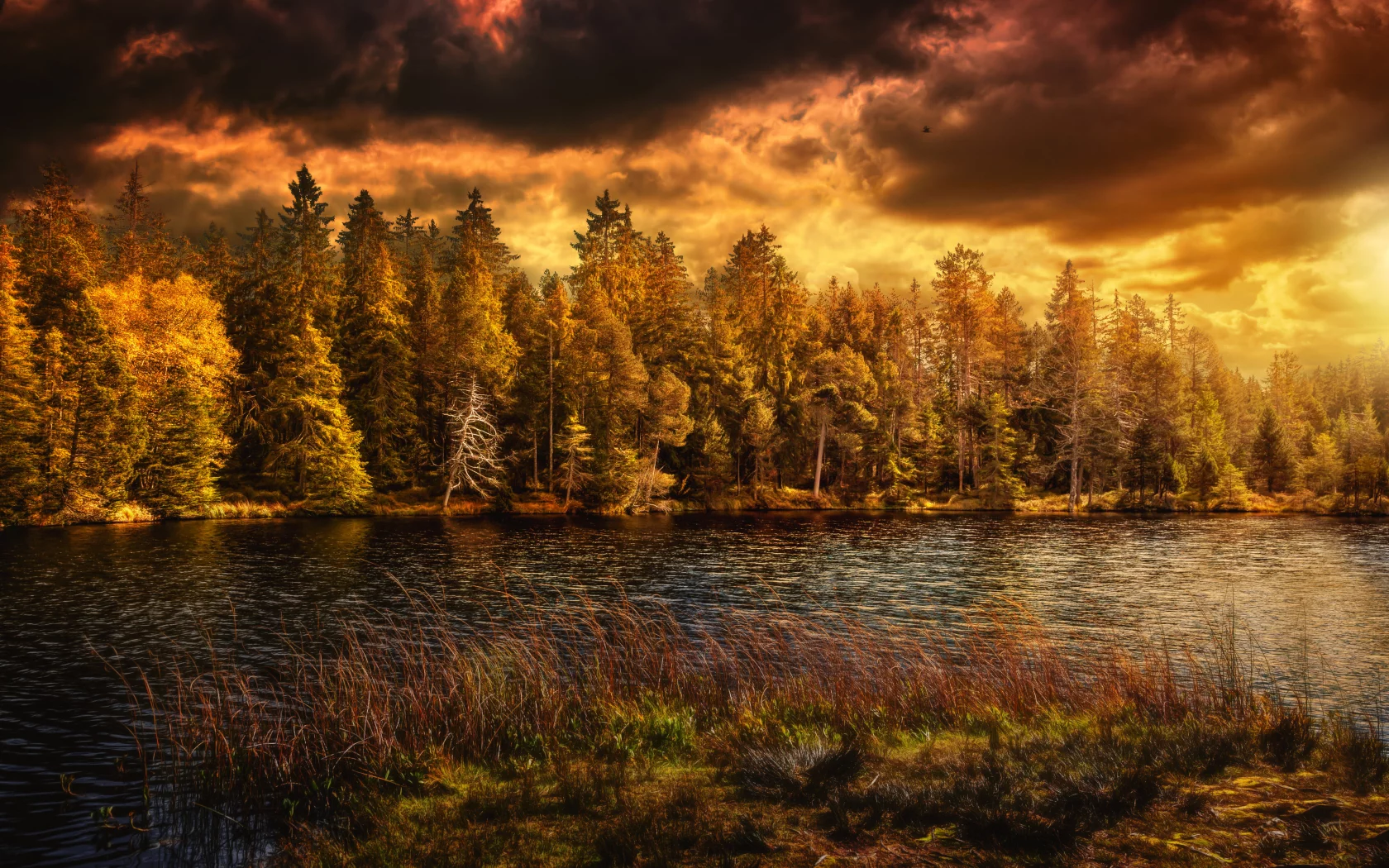 nature, nature
