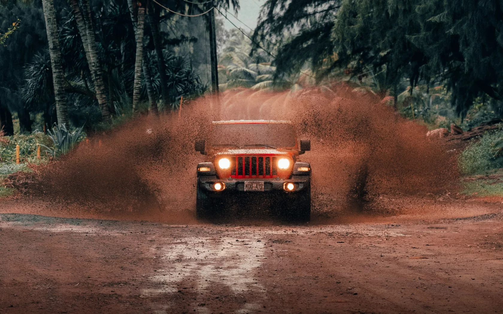 auto, jeep wrangler