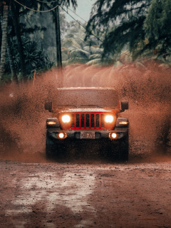 auto, jeep wrangler