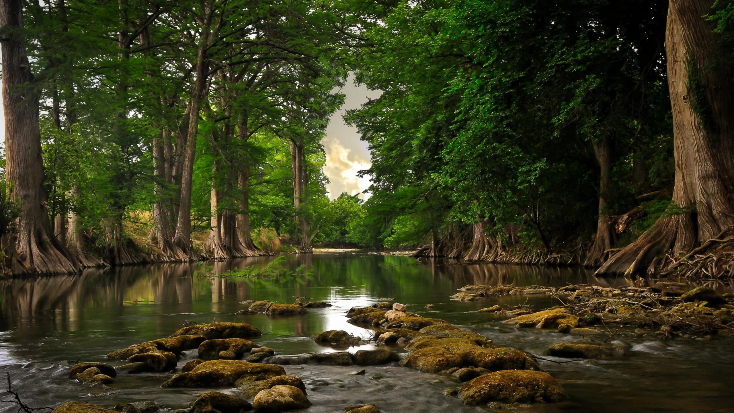 nature, serenity
