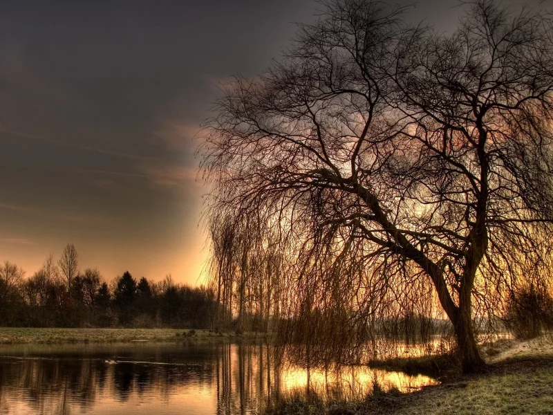 nature, nature