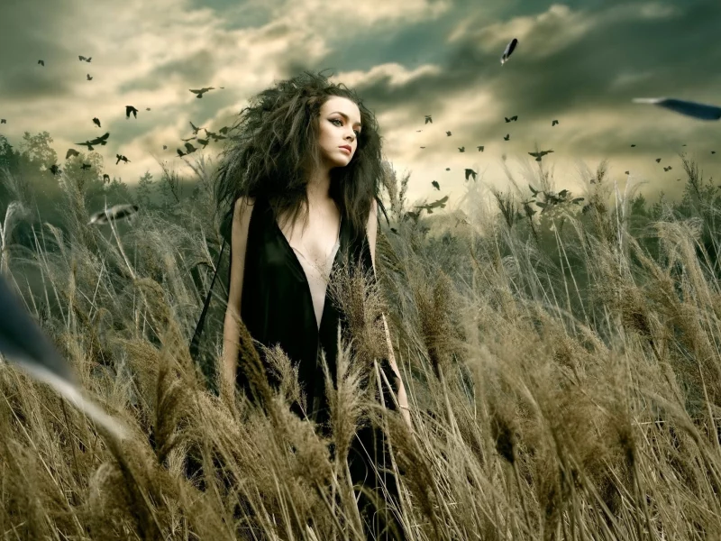girl, beautiful, black dress, nature