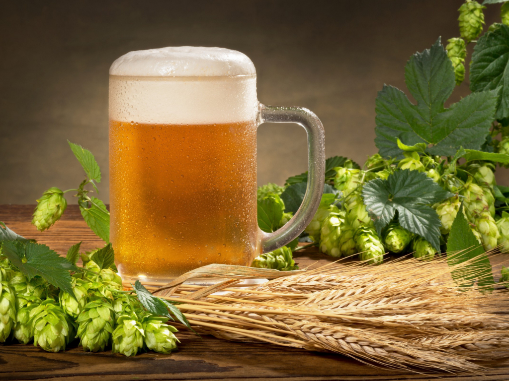 beer, mug, hops