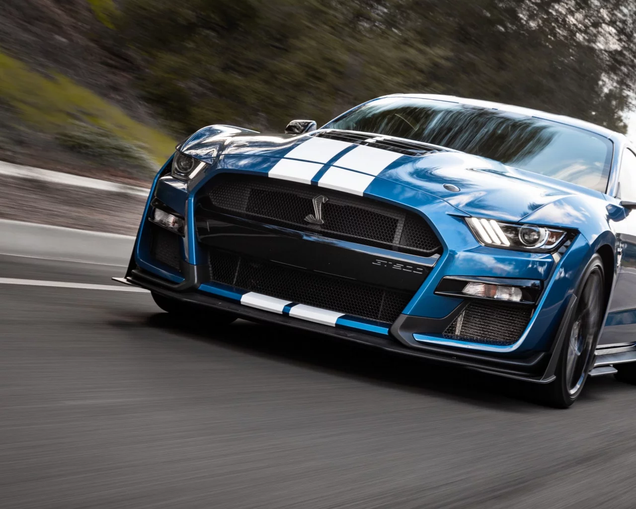 auto, shelby cobra gt500