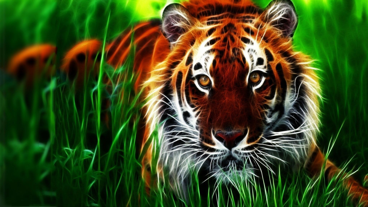 animal, tiger, drawing