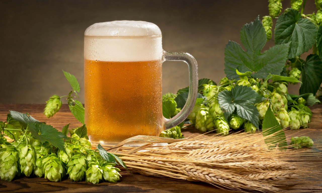 beer, mug, hops