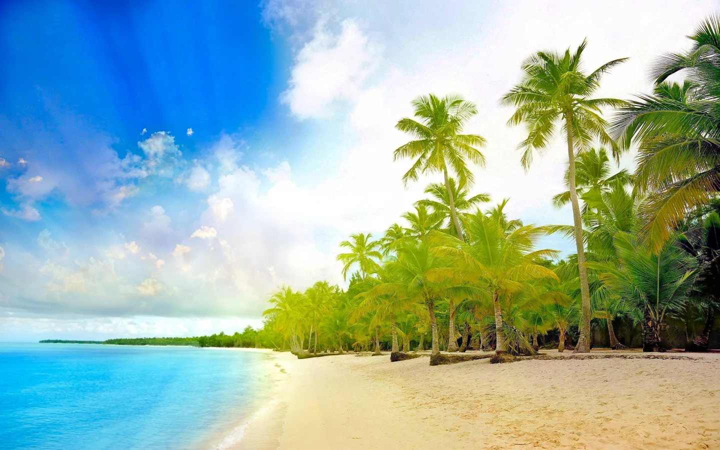 landscape, palm trees, beach, sea, tropics