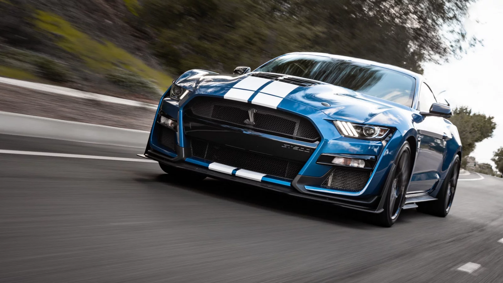 auto, shelby cobra gt500