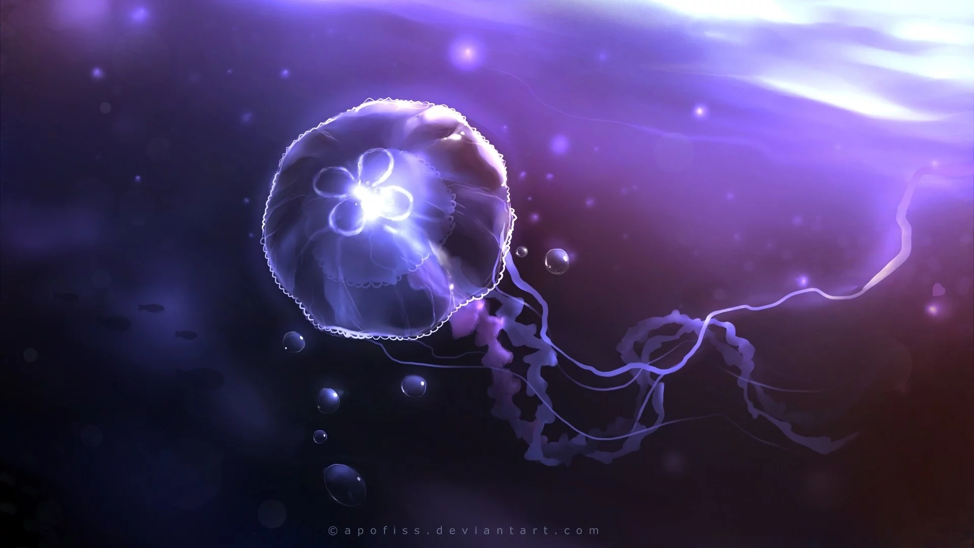 jellyfish, sea, depth