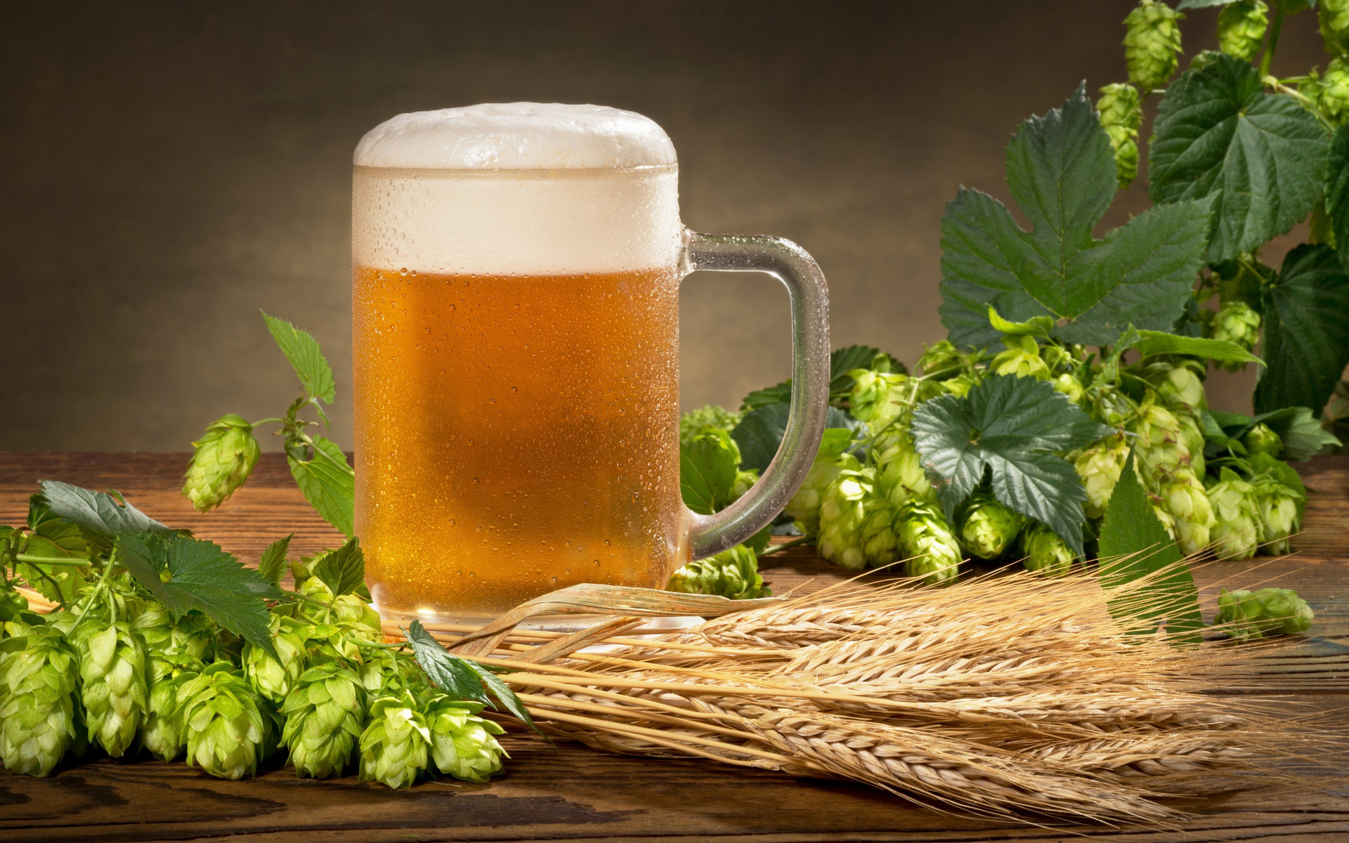 beer, mug, hops