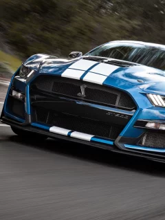 auto, shelby cobra gt500