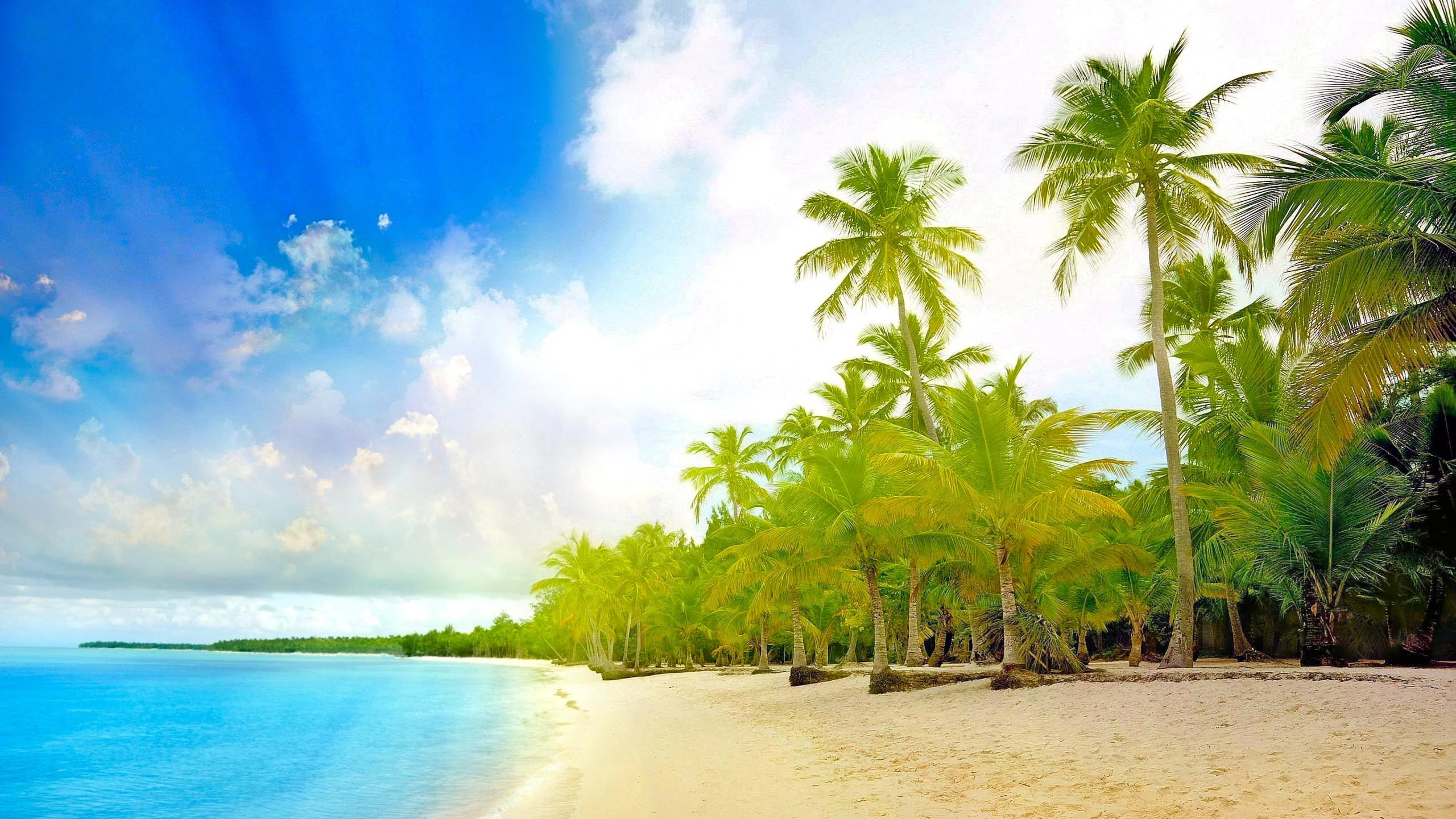 landscape, palm trees, beach, sea, tropics