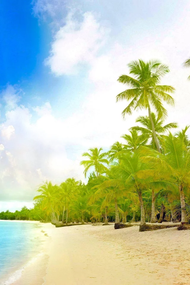 landscape, palm trees, beach, sea, tropics